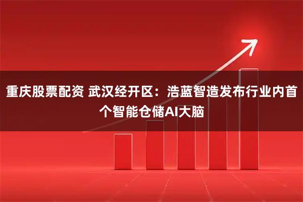 重庆股票配资 武汉经开区：浩蓝智造发布行业内首个智能仓储AI大脑